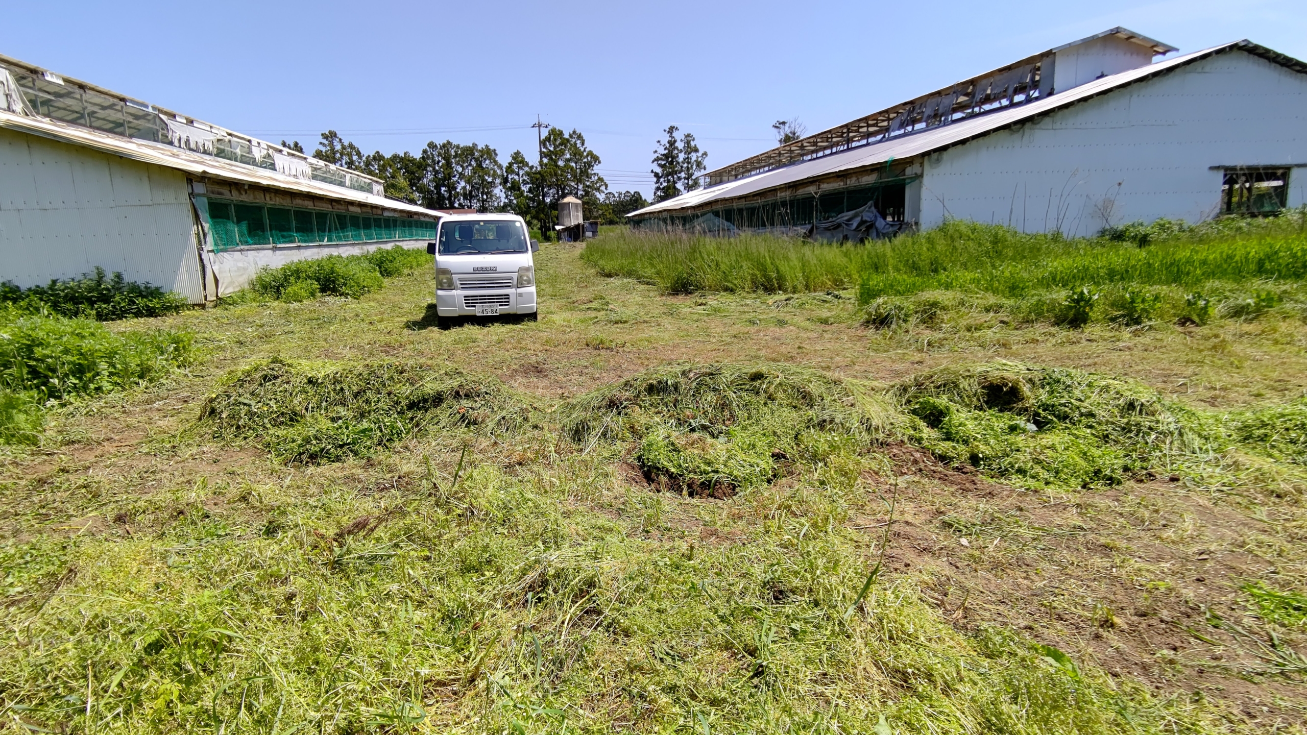 ヘチマを7ポット植えつけました-2021-05-15