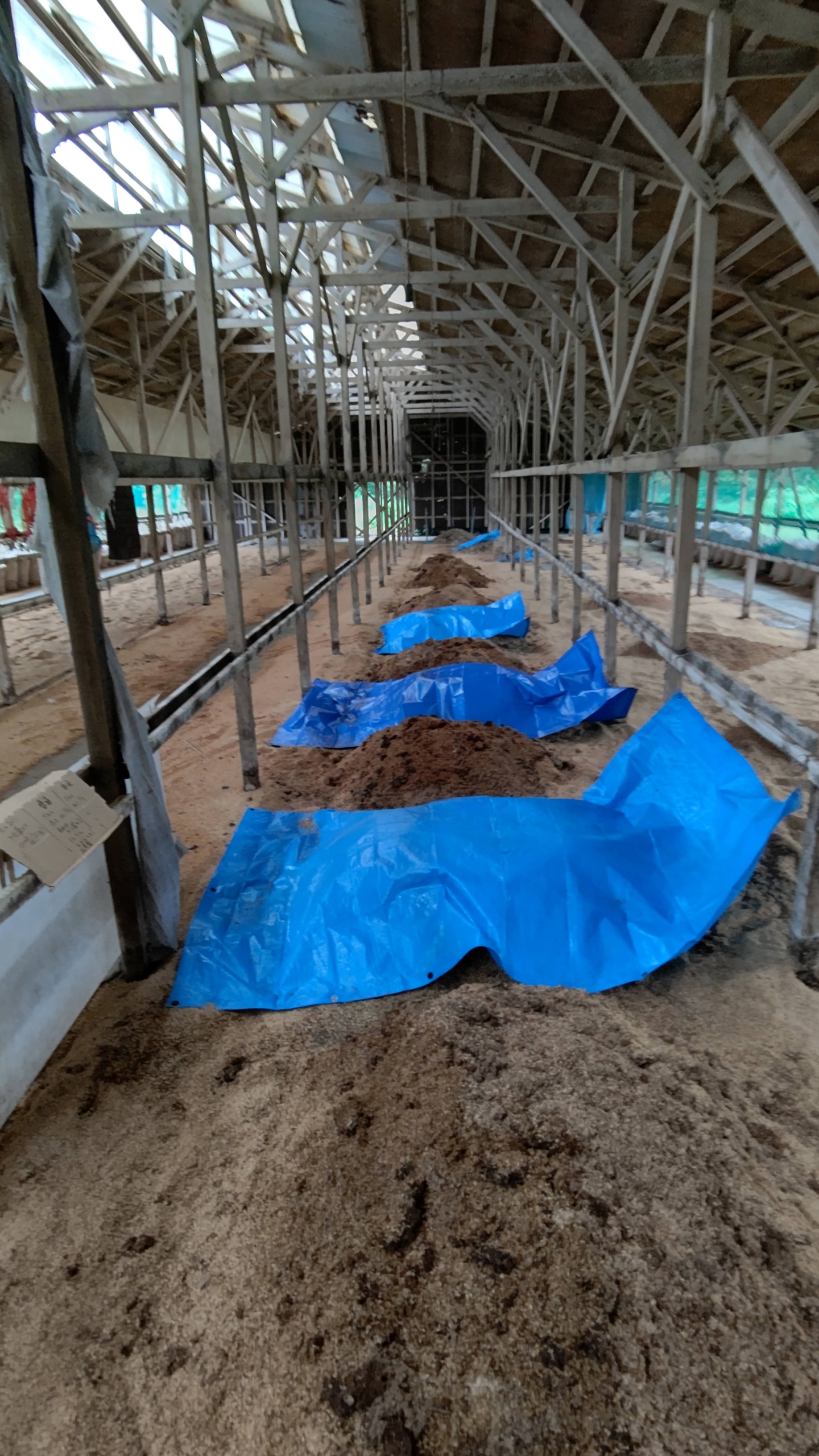 「もみがら発酵ぼかし肥料」を元にして、土壌改良剤を作ることにしました-2021-05-17