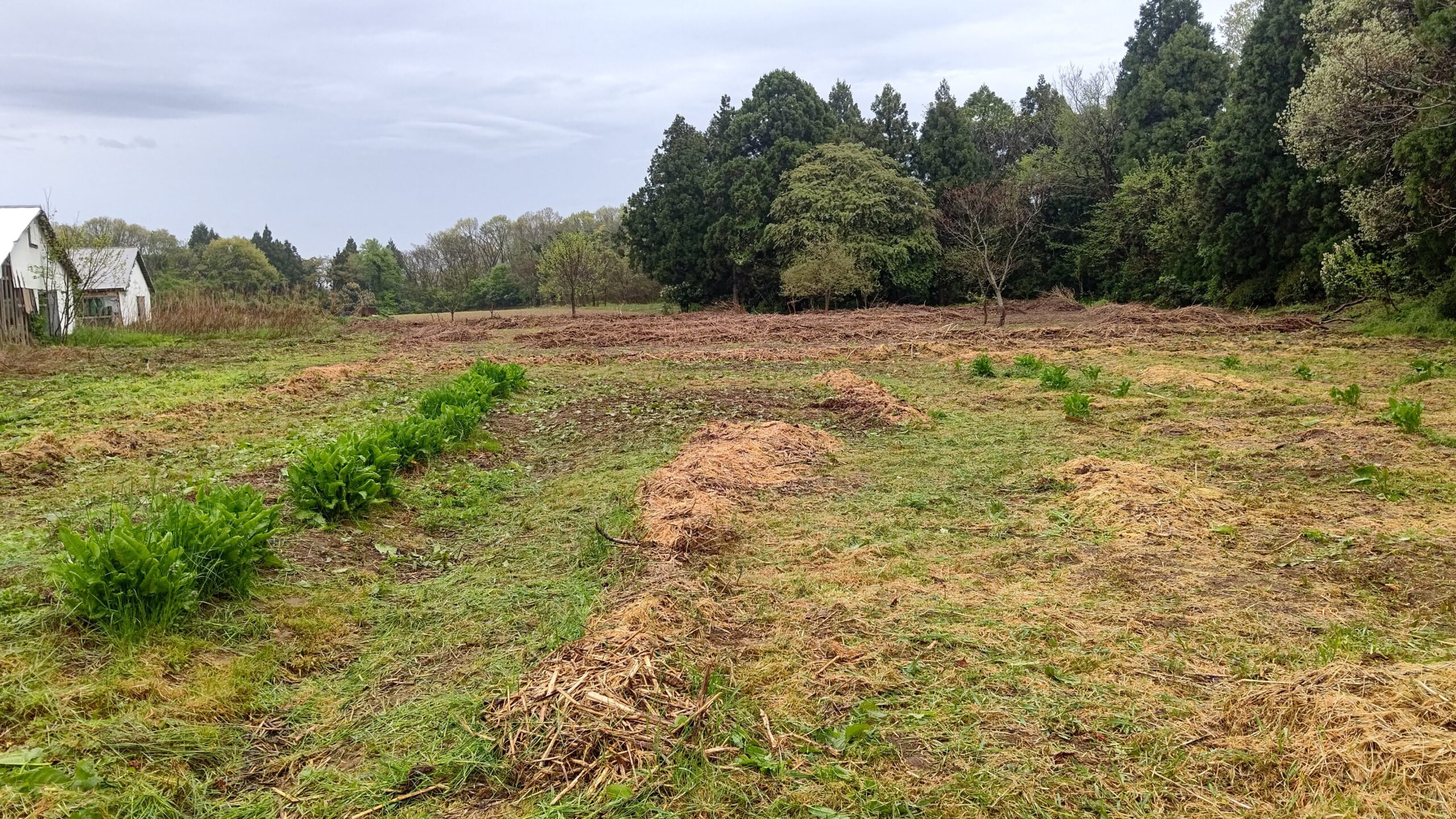 ビジネスポリシーを新しくしました-2022-04-27