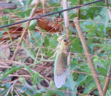 ウクライナが生産している農産物は世界中に輸出されているものが多い-2022-05-12
