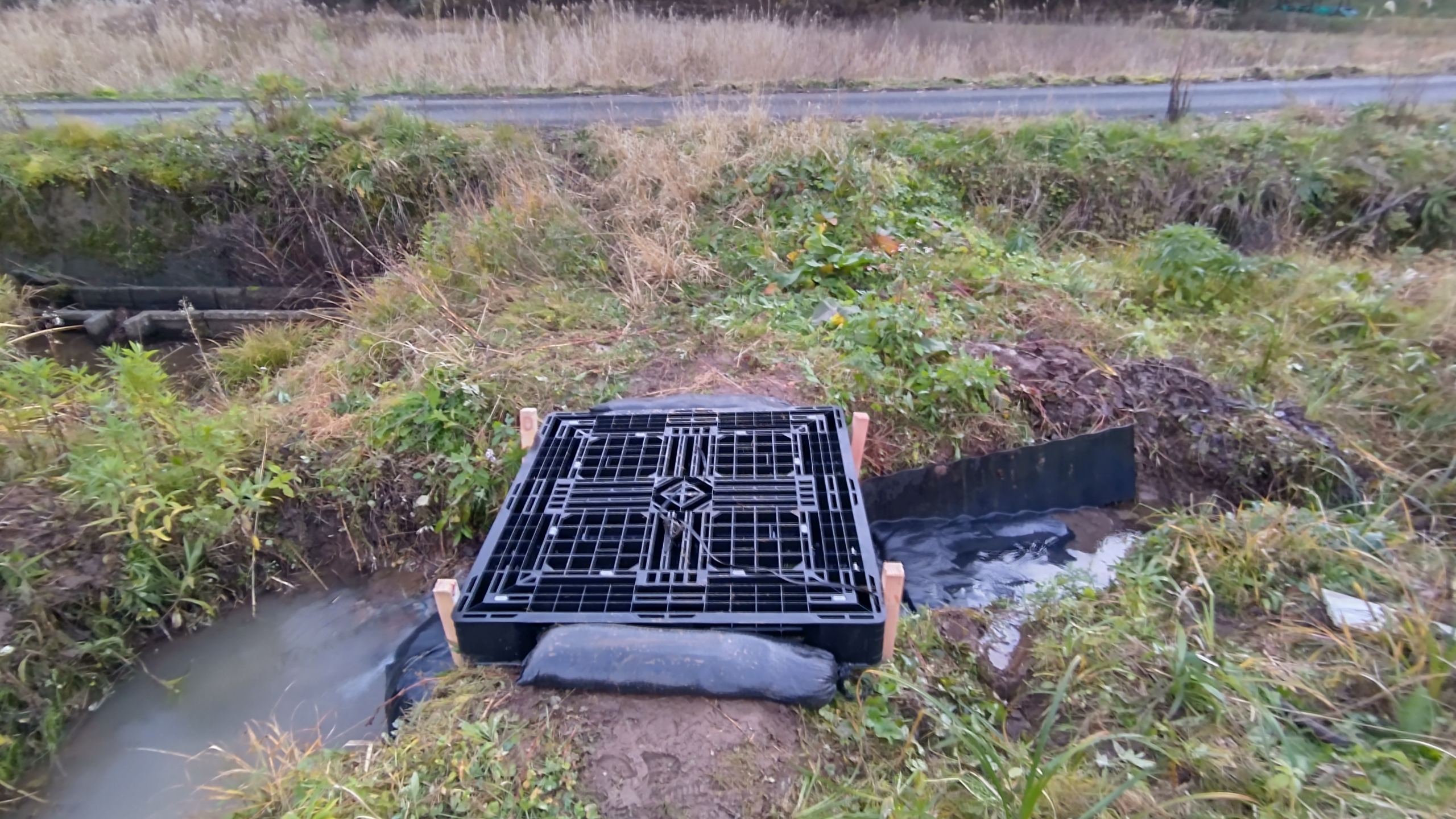 プラパレットをイノシシ避けのグレーチング代わりに使いました2021-12-14