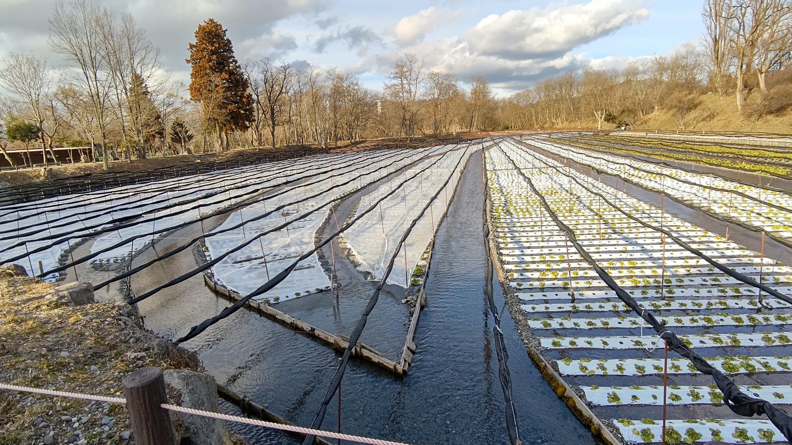 安曇野はおひさまが出ていて暖かいです-2022-01-30