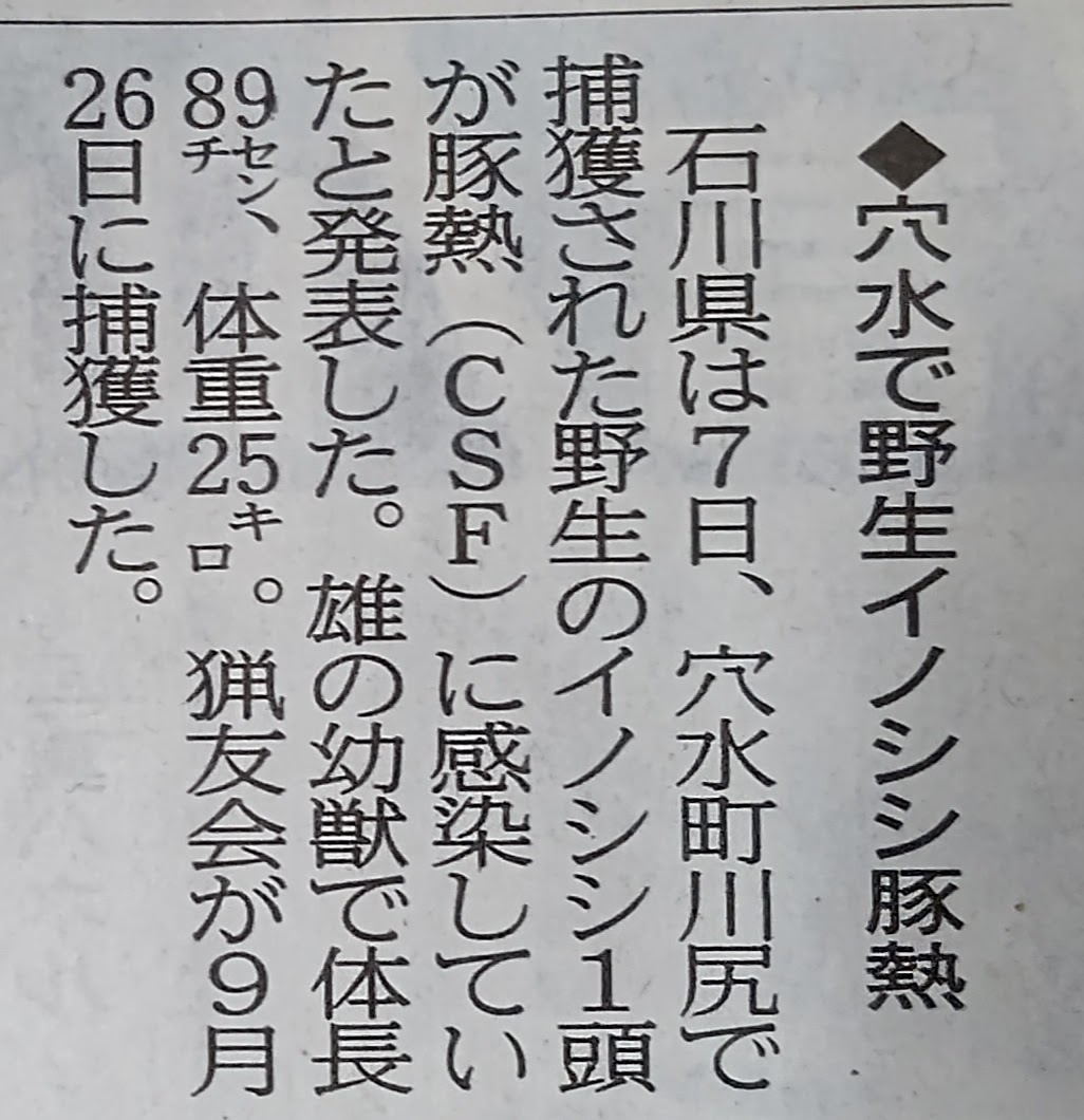 穴水町で野生イノシシ豚熱感染見つかる-2022-10-08