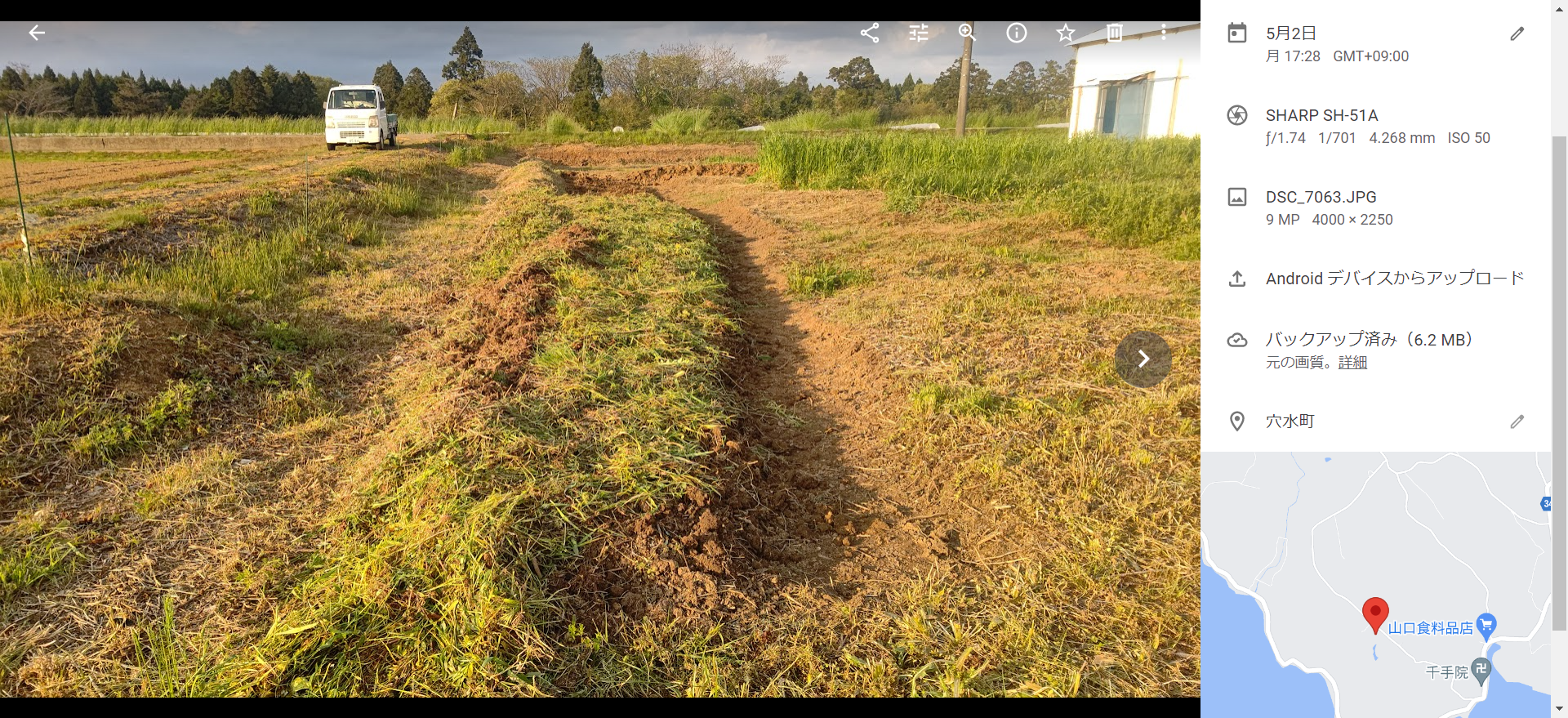 えん麦をバンカープランツと緑肥と自家採取目的で種まき-2022-05-02
