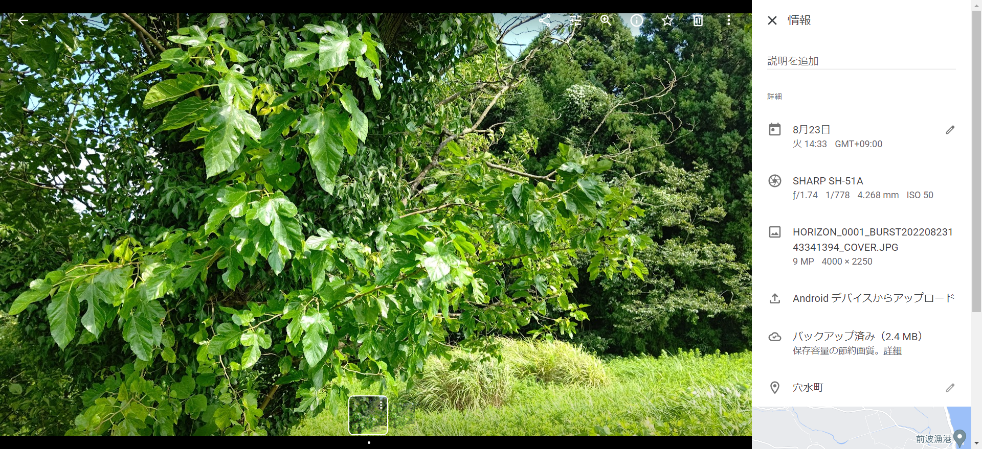 私はワクチンを打っていないので、自然免疫だけが頼りです-2022-08-23