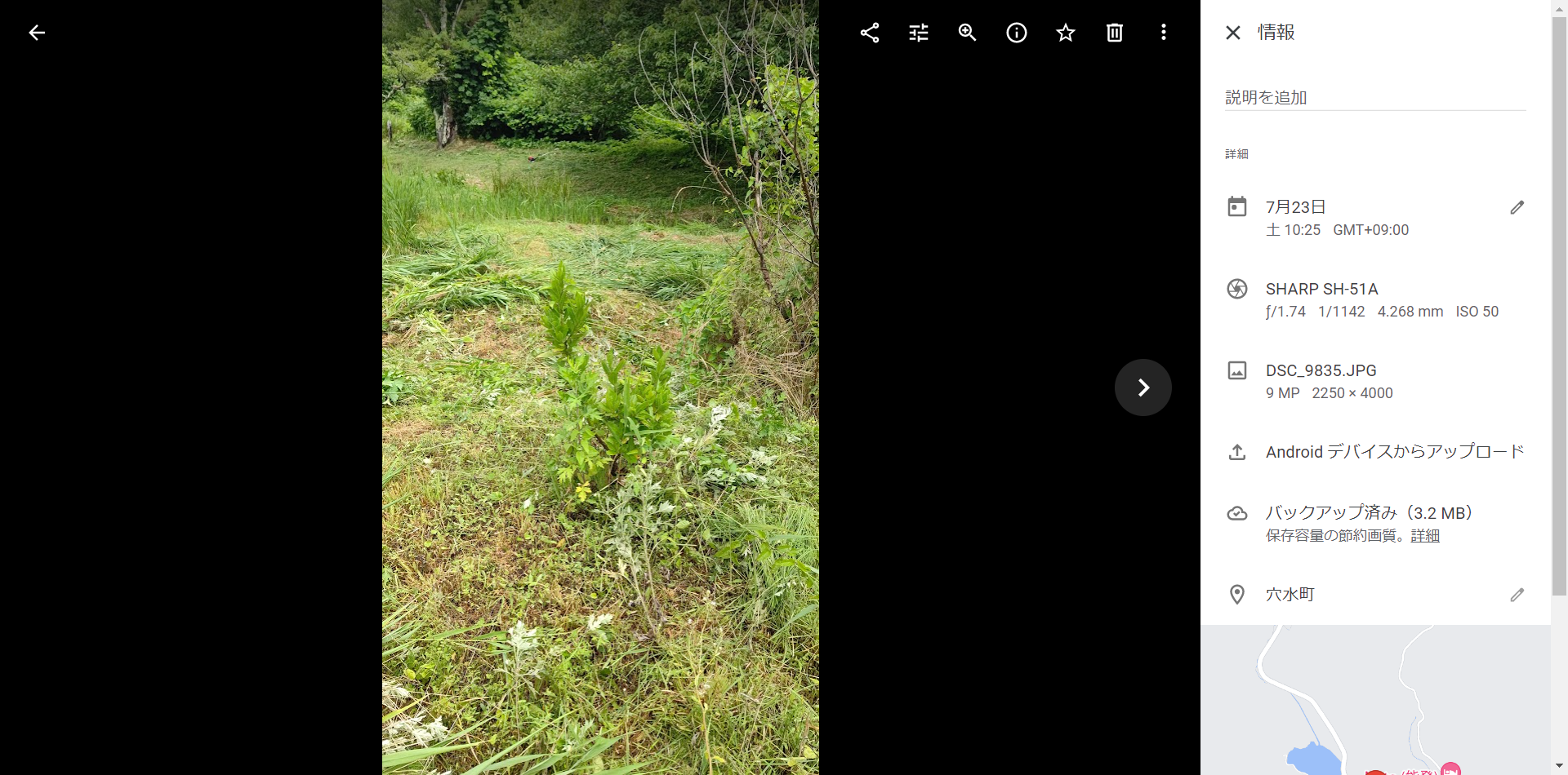 能登半島でも穴水町は酸性度の高い赤土土壌です-2022-07-26