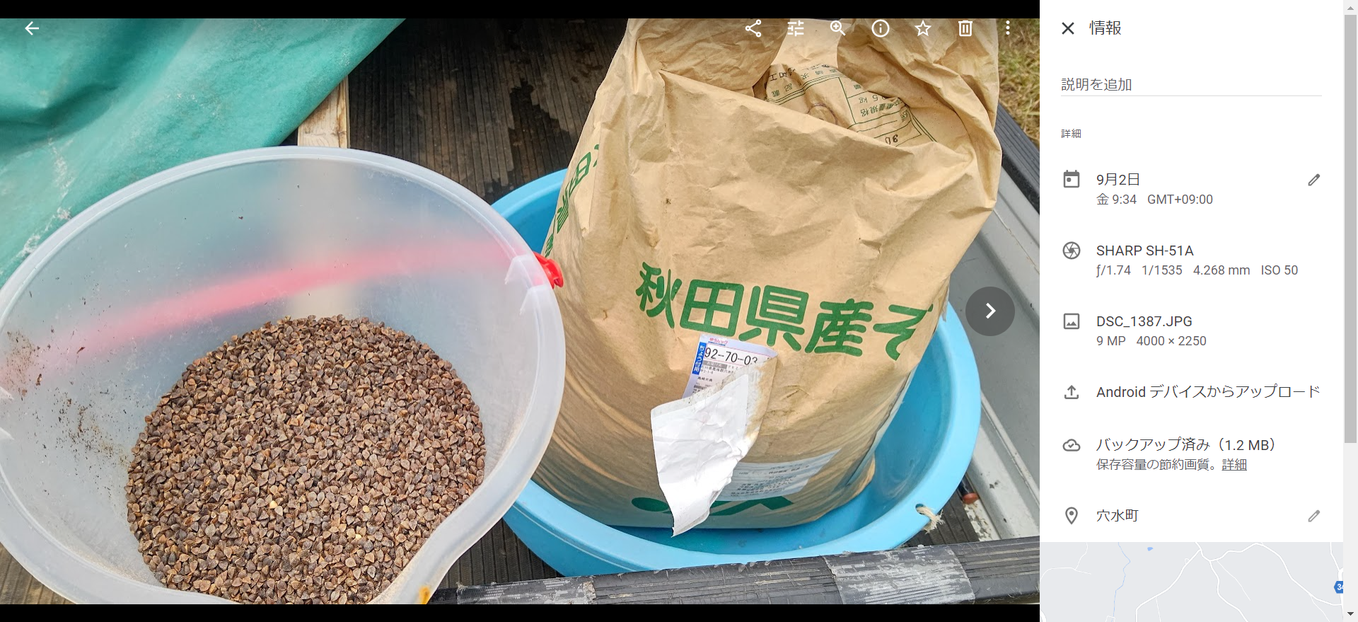 この夏３回目のソバの種まき-2022-09-03