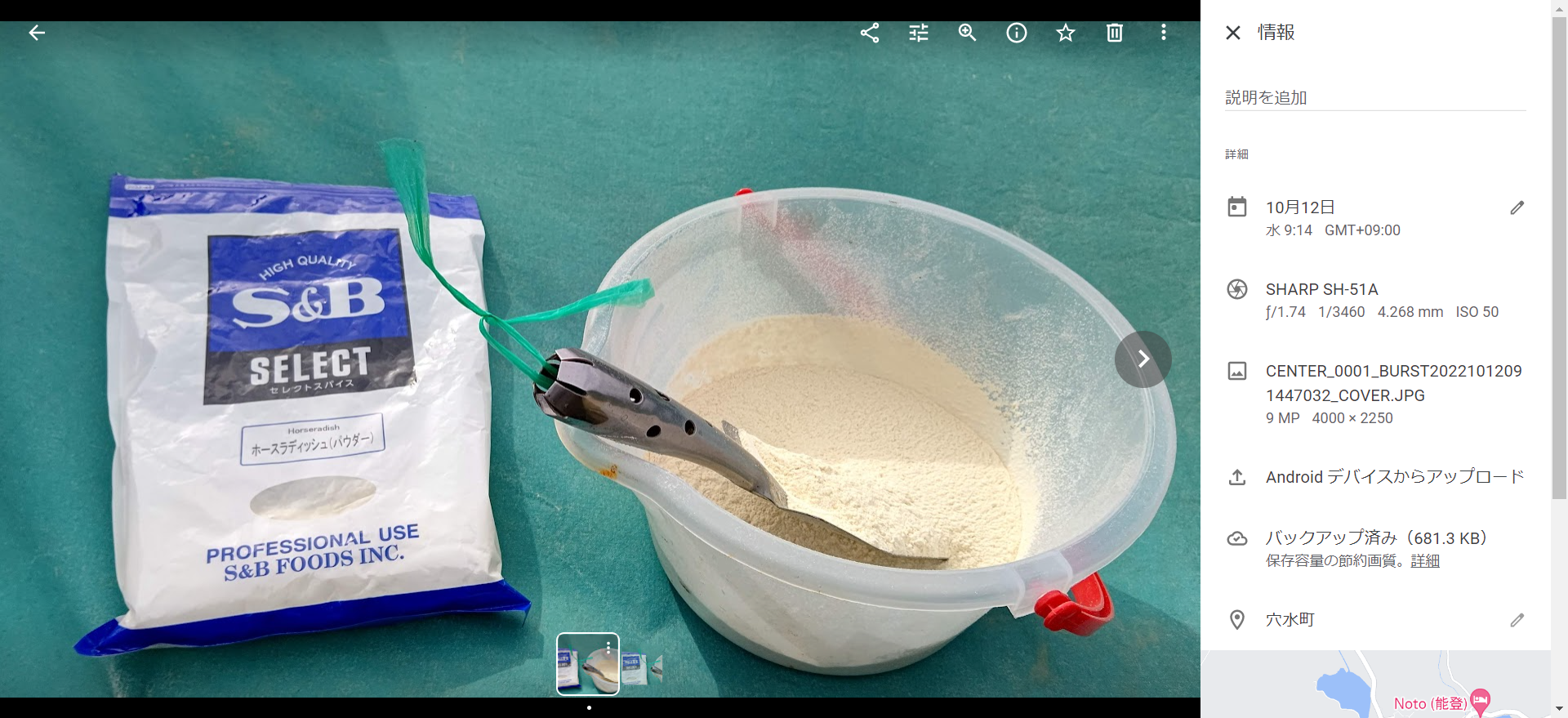 イノシシは西洋わさびを一度目は食べますが、次からは二度と食べないことまで分かりました-2022-10-15