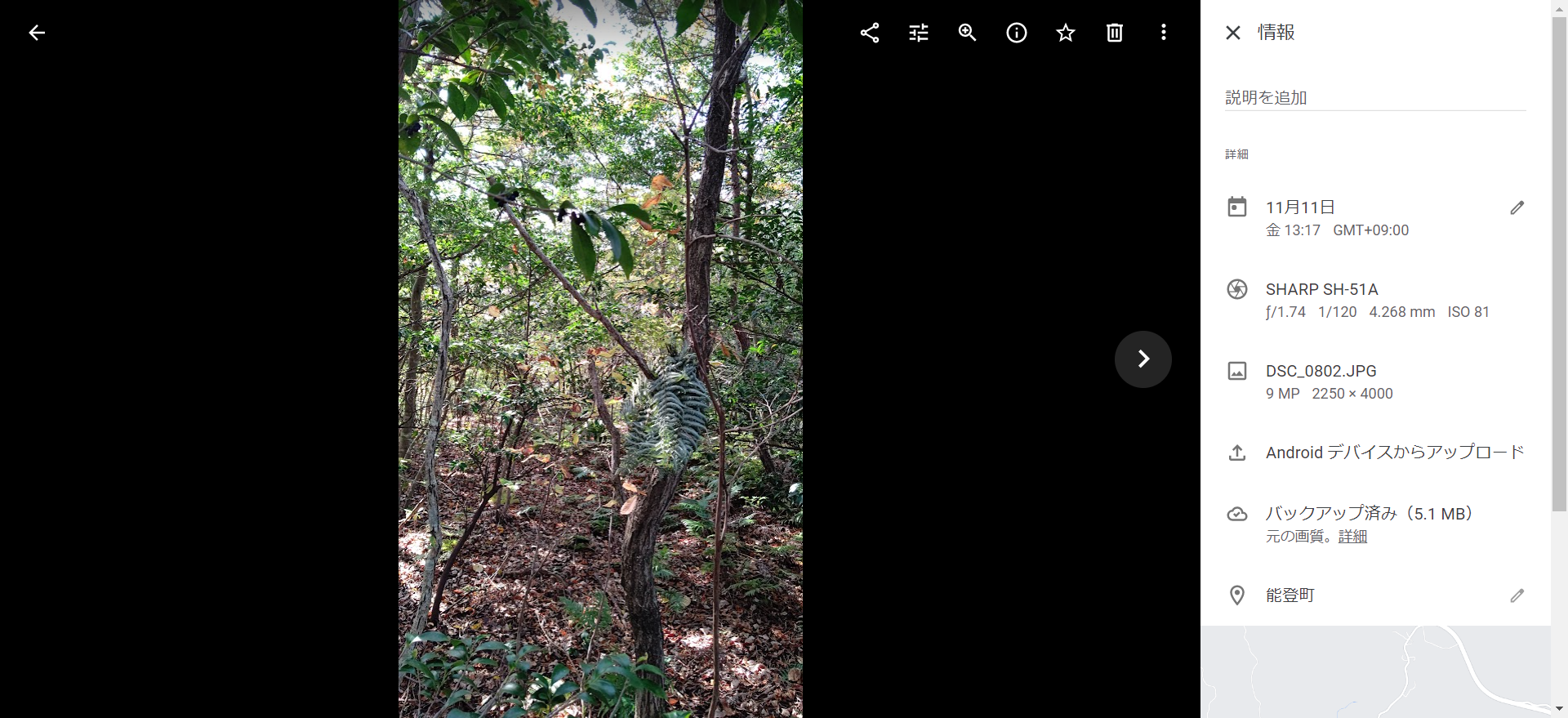 山の中を動くので帰り道が分かるように目印を置いてます-2022-11-11