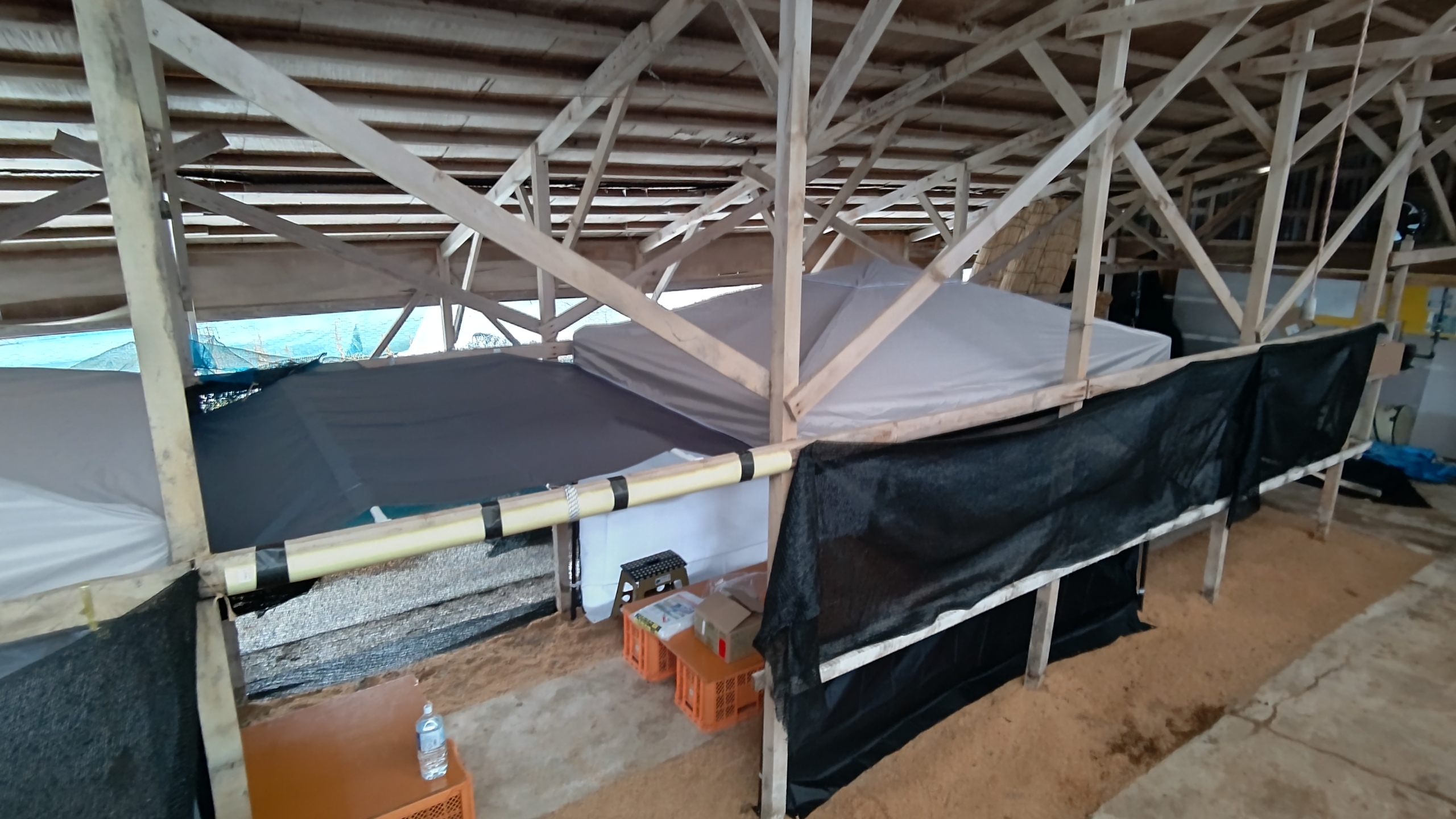 屋根からの雨よけで今日はシート張ってました-2022-12-28
