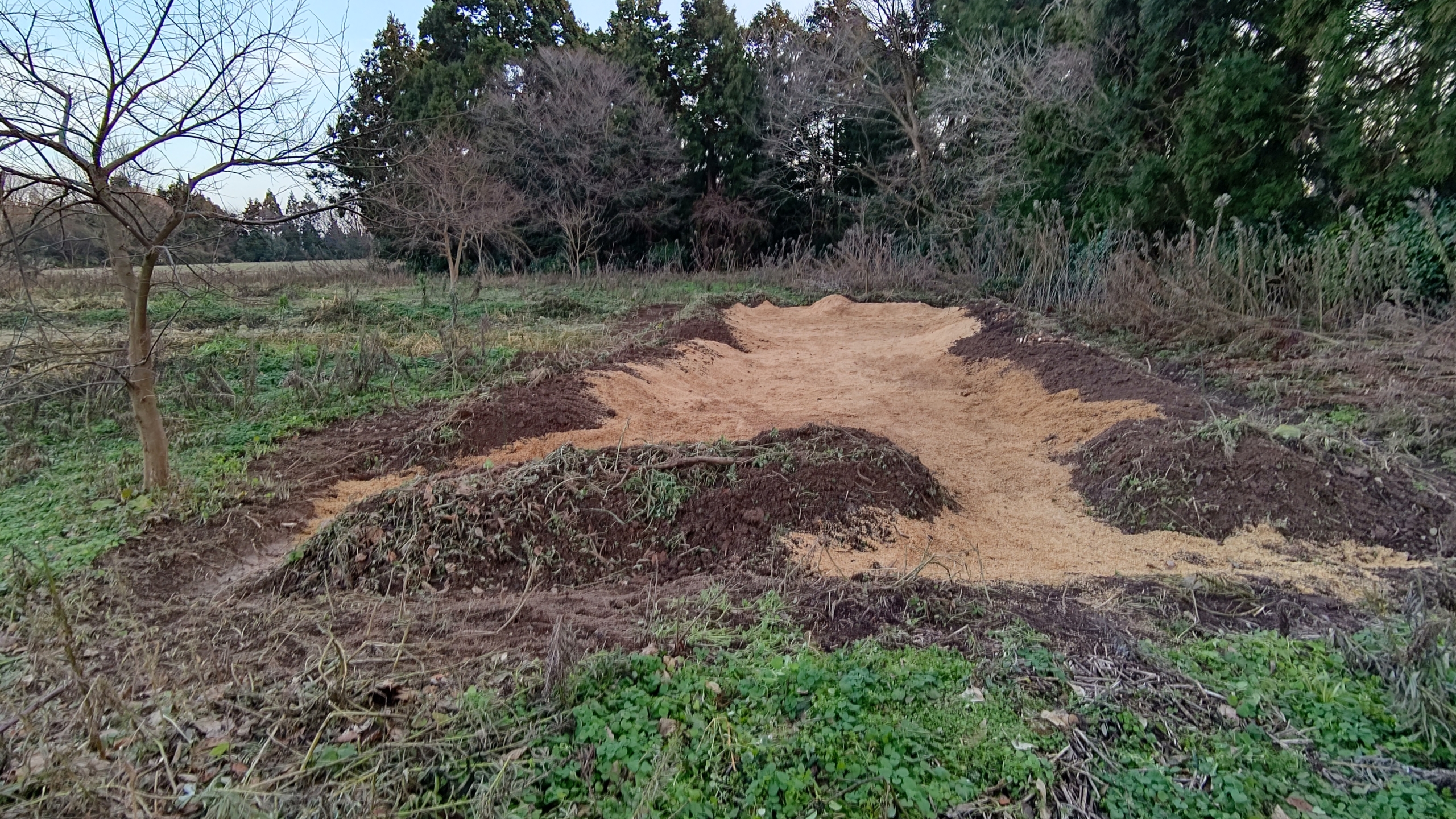 もみ殻をもらってきた-2023-01-12