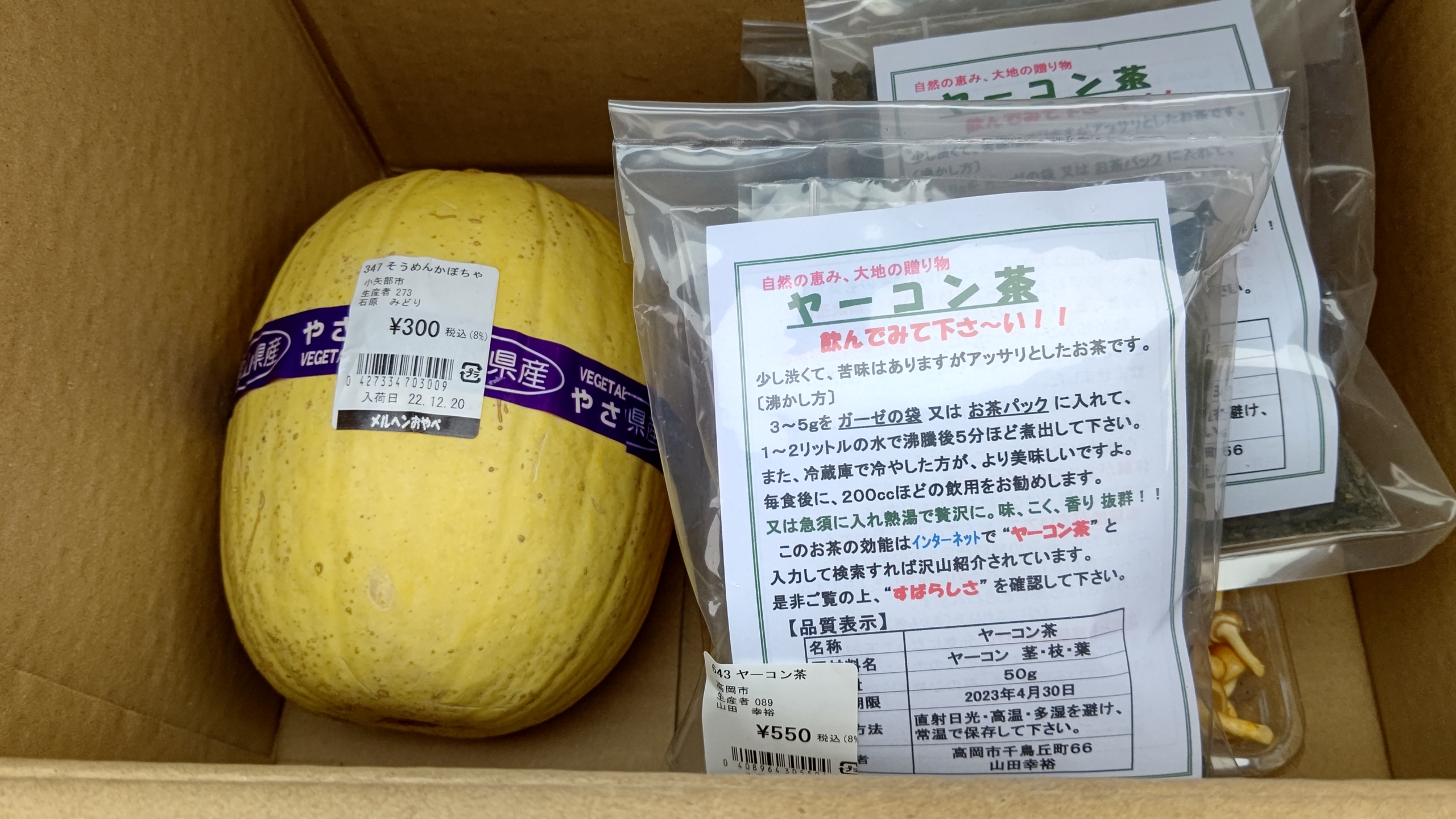 そうめんカボチャは種取り用です-2023-01-30