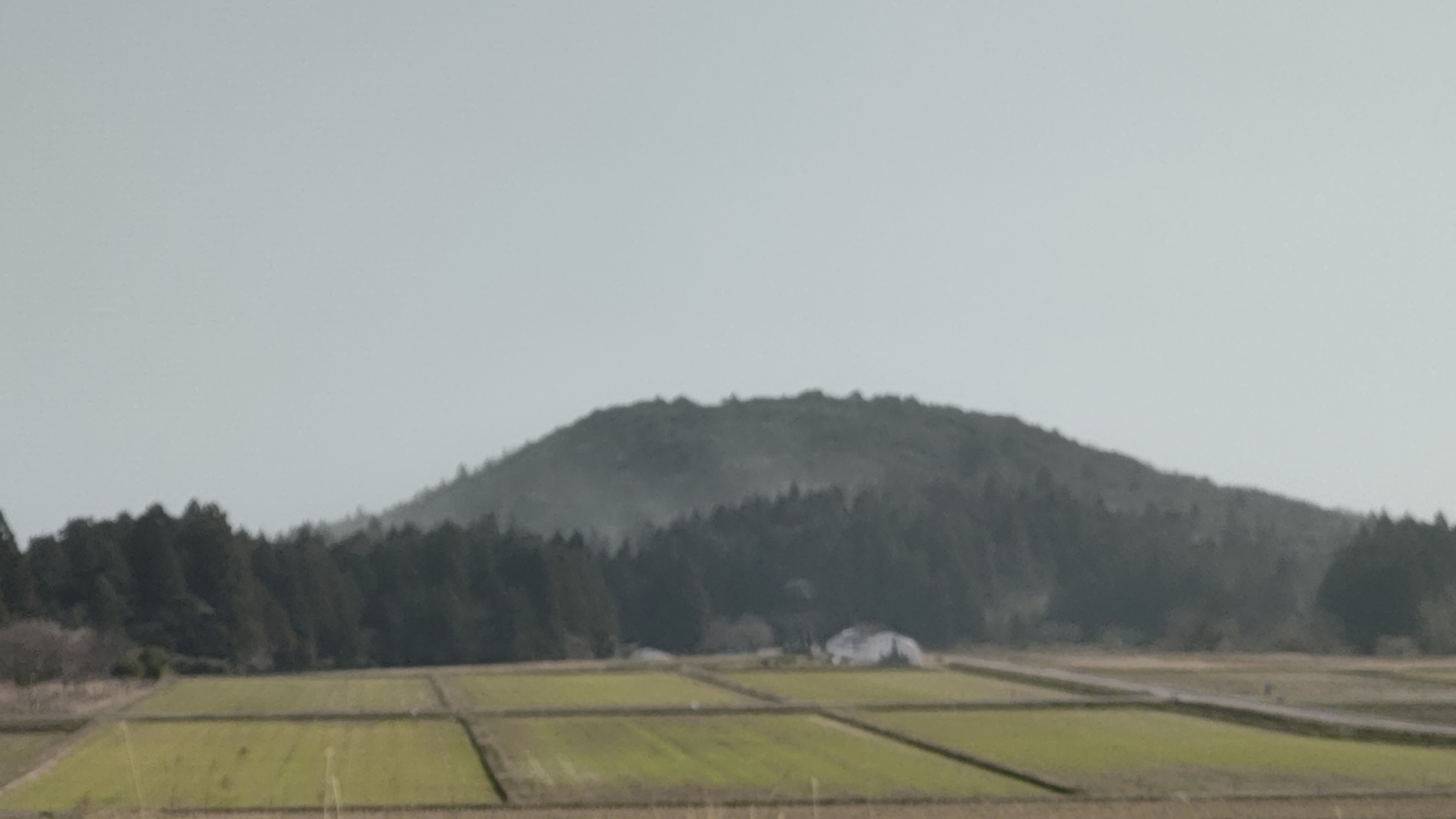 今日はモヤがかかったような感じですが、大量のスギ花粉が飛散しただけでした-2023-03-07