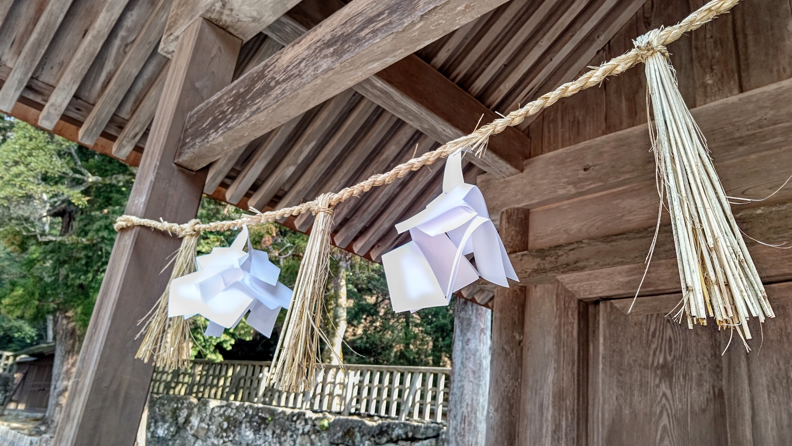 しめ縄は昔はマコモを編んで（あんで）作りました-2023-03-08