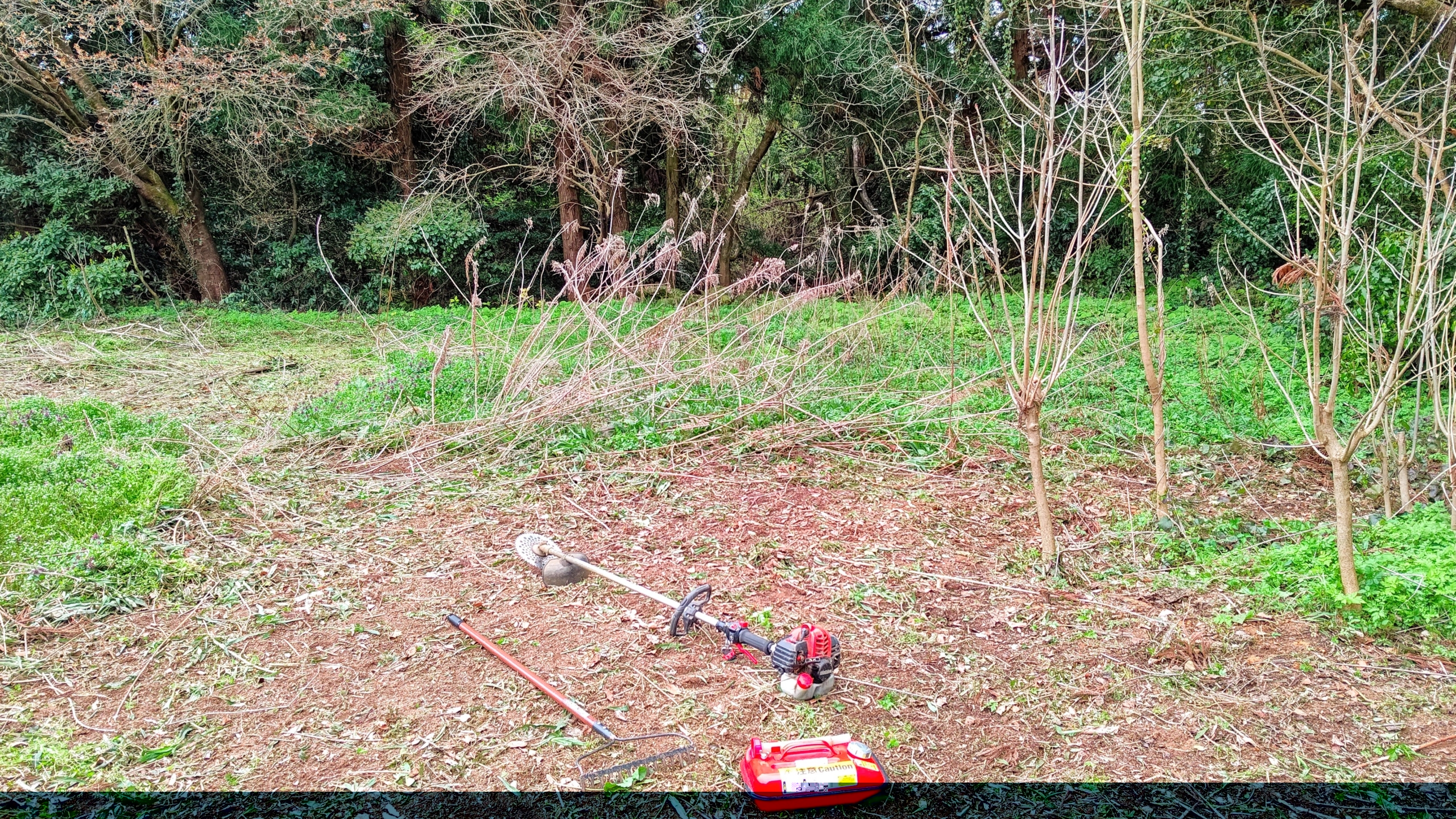 外周の草刈りは終わりました-2023-04-05