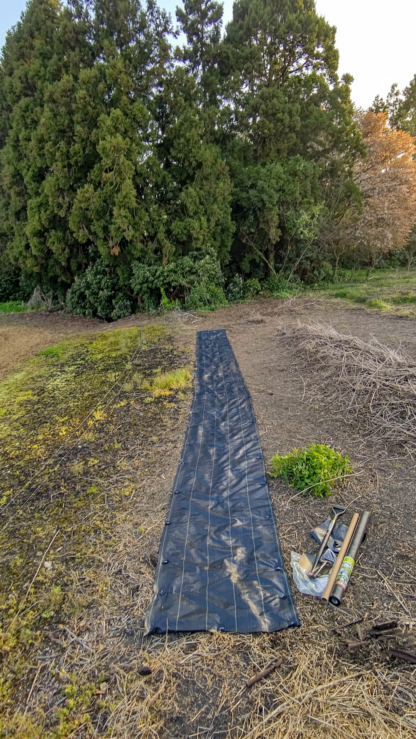 作業通路用で防草シートをしきました-2023-04-16