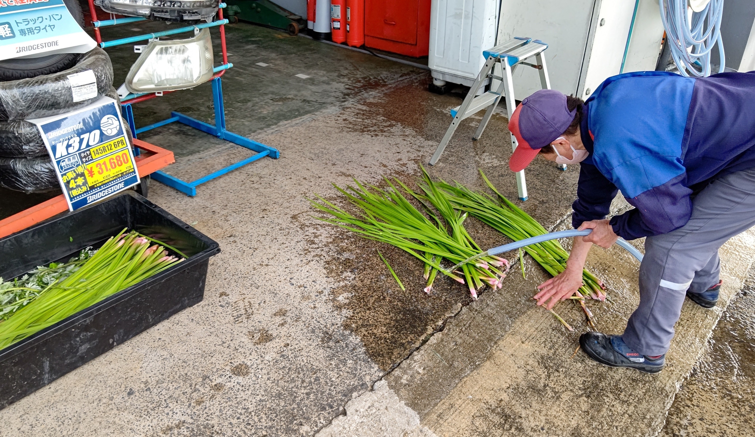 森本石油さんに届けている匂い菖蒲で、北國新聞さんと北陸中日新聞さんに出してもらいました-2023-05-05