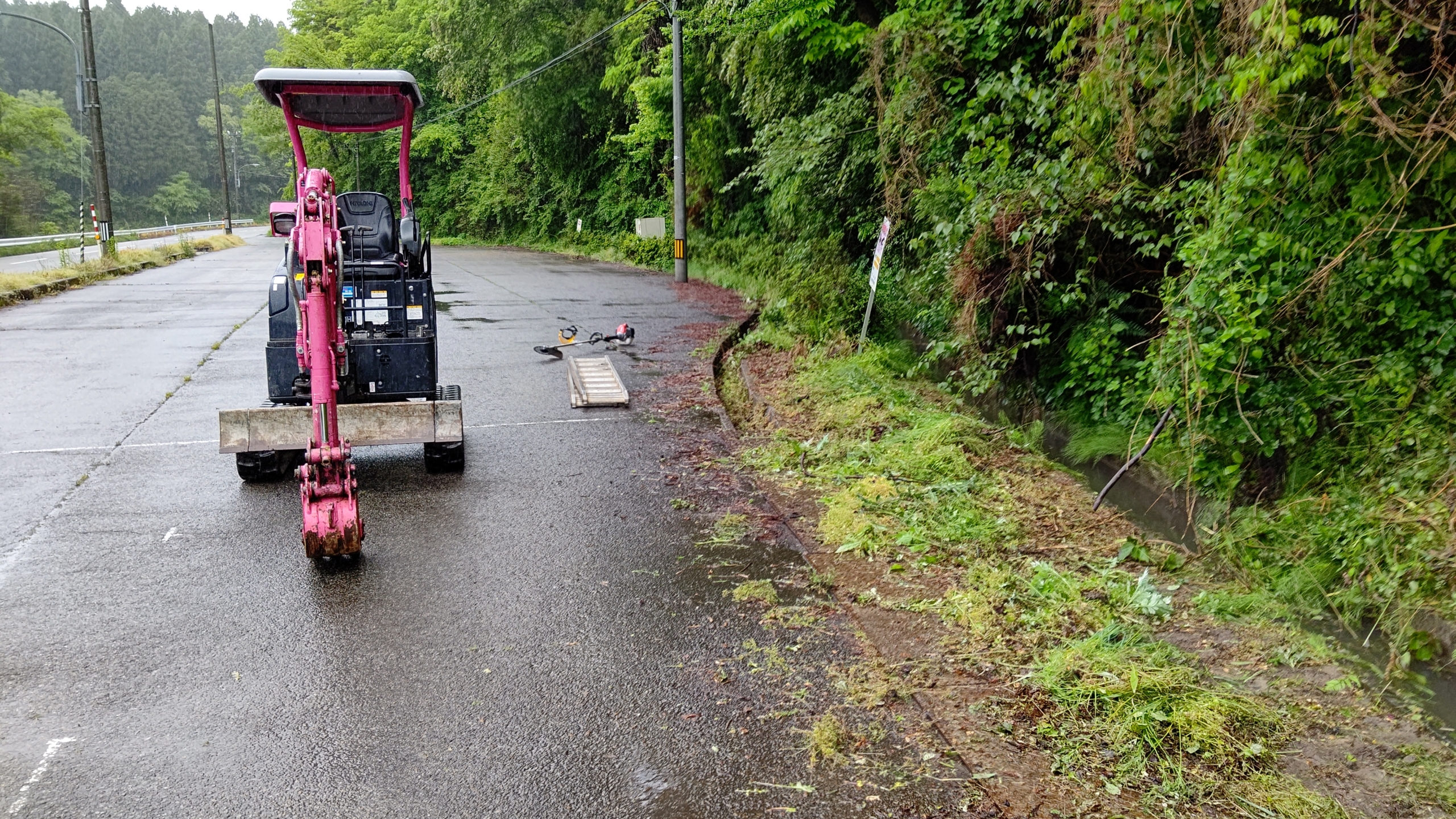 山わさび（西洋わさび）を消防団のバーベキューに持って行きました-2023-05-08