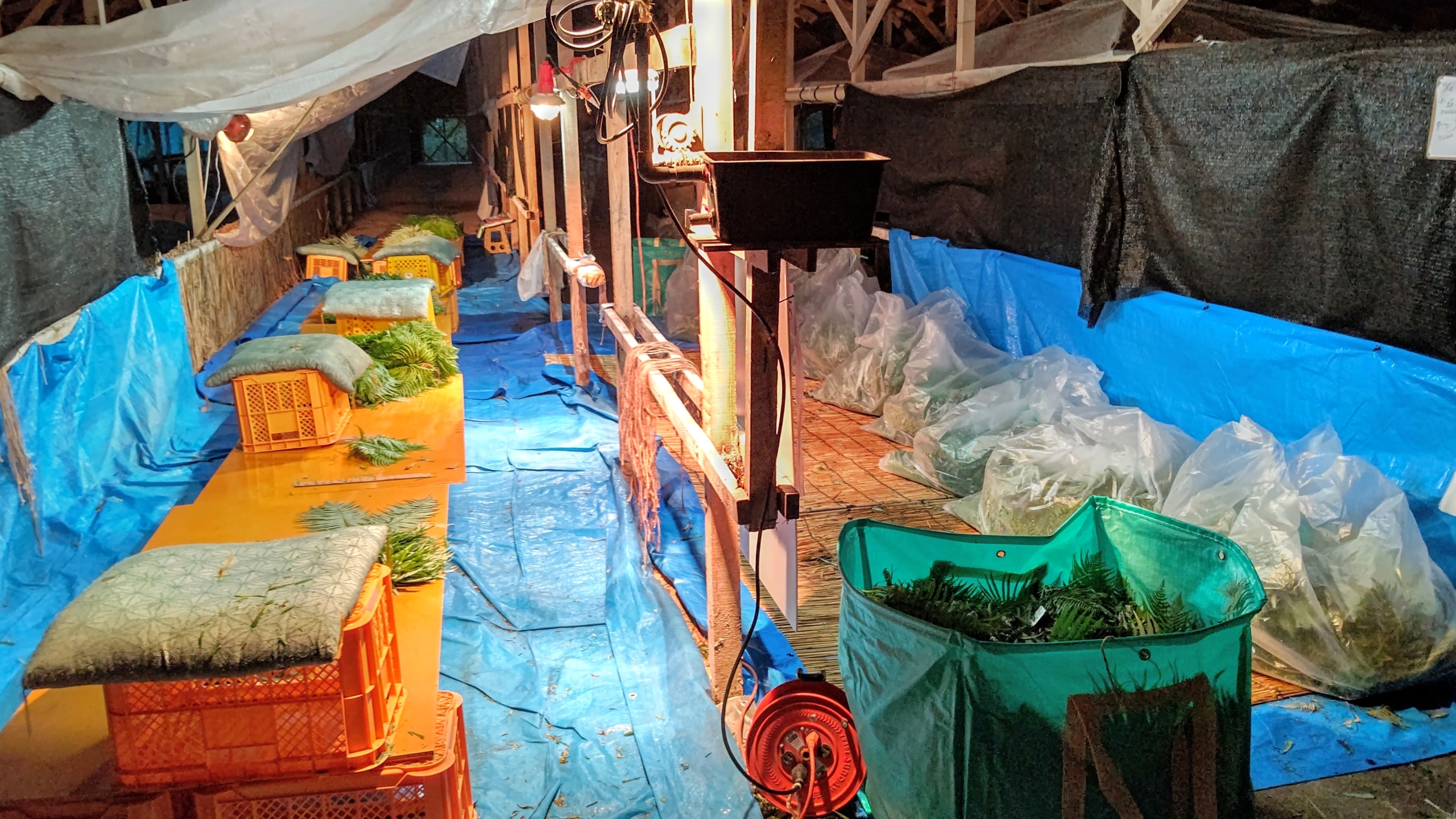 来週中には終わるかな?-2023-11-10