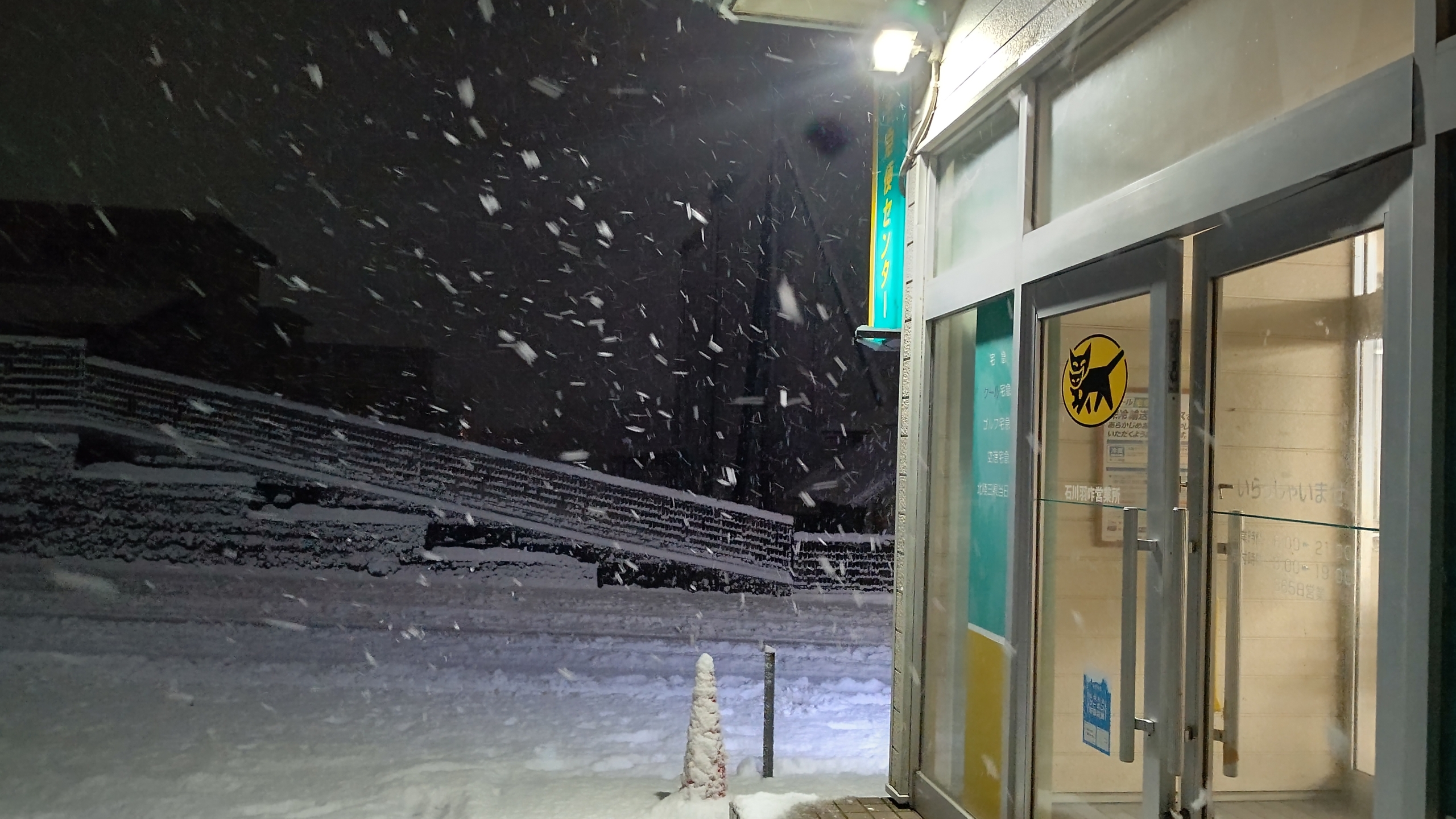 雪がすごいことになってる-2024-01-23