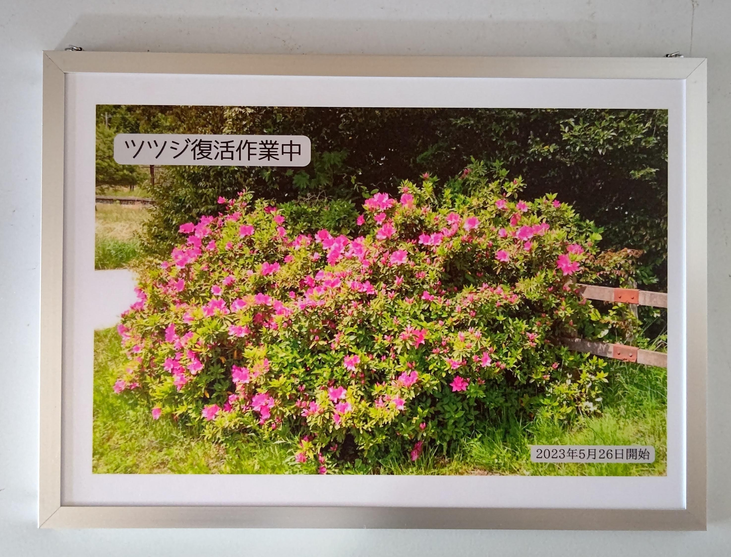 作業中のプレートが出来上がった-2023-05-30