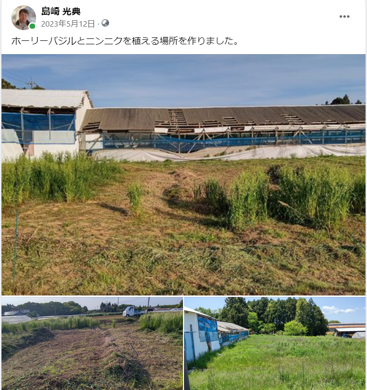 ホーリーバジルとニンニクを植える場所を作りました-2023-05-12