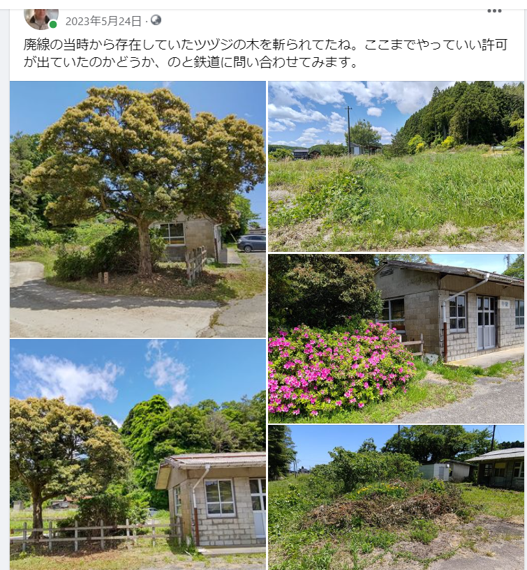 廃線の当時から存在していたツヅジの木を斬られてたね-2023-05-24