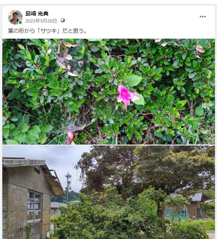 入江の奥に運んだ枝を駅まで運び終えた-2023-05-26