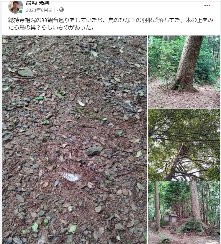 總持寺祖院の33観音巡りをしていたら-2023-06-06