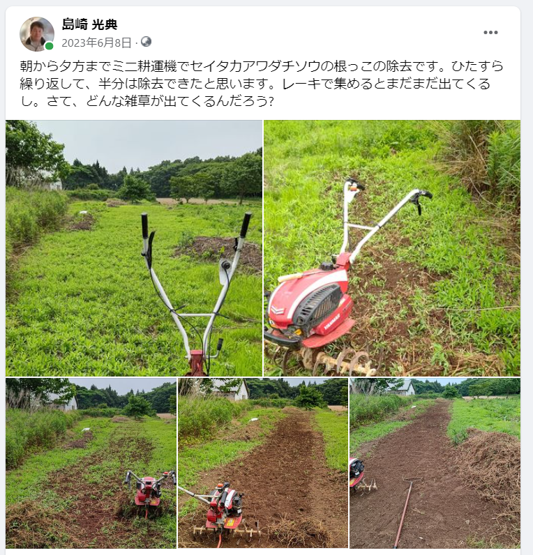 朝から夕方までミニ耕運機でセイタカアワダチソウの根っこの除去です-2023-06-08