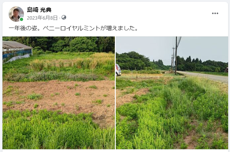 一年前の姿。今は?-2023-06-08