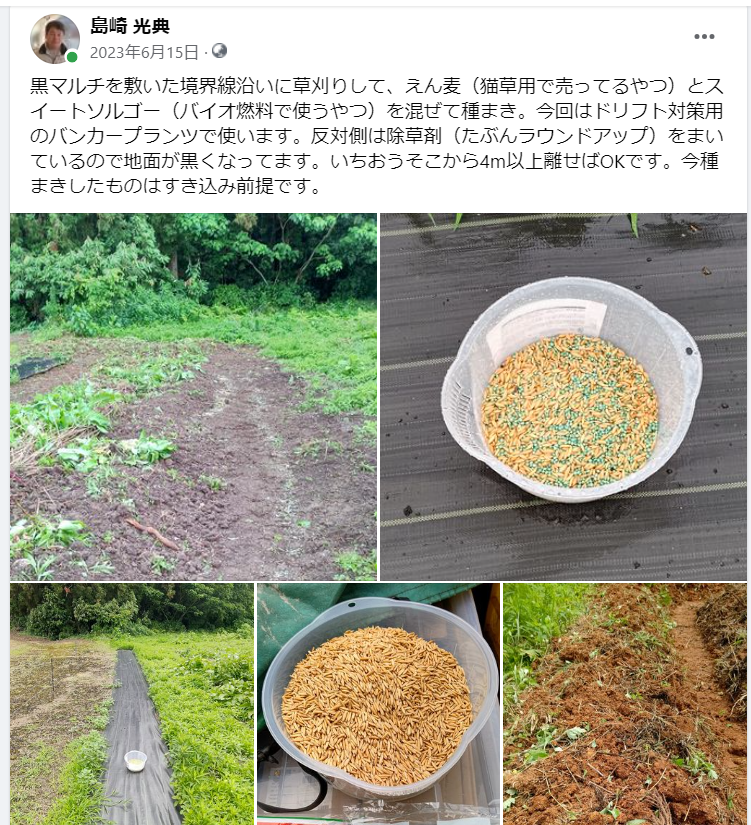 今回はドリフト対策用のバンカープランツで使います-2023-06-15