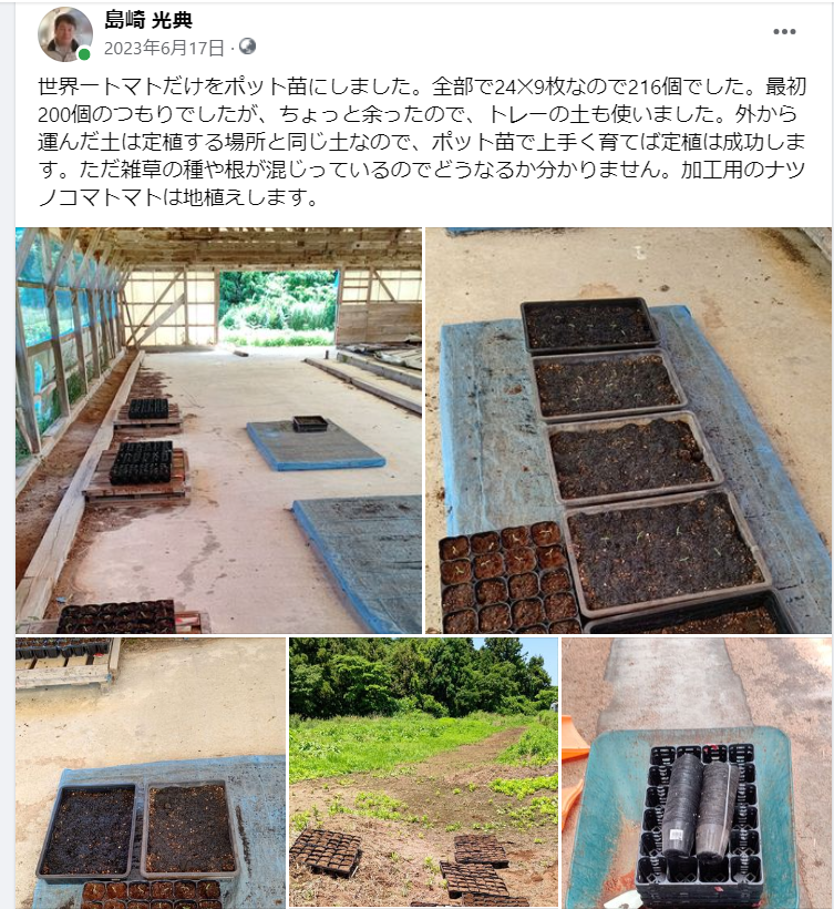 世界一トマトだけをポット苗にしました-2023-06-17