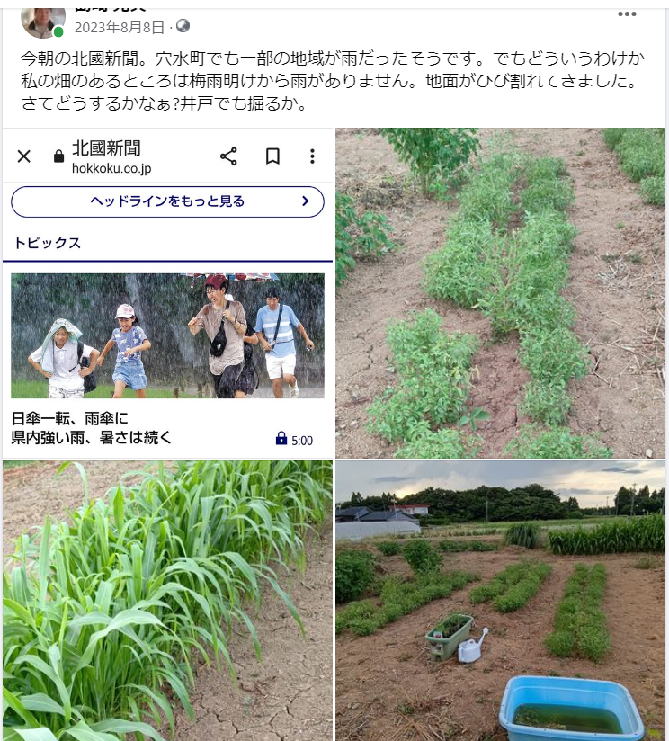 どういうわけか私の畑のあるところは梅雨明けから雨がありません-2023-08-08