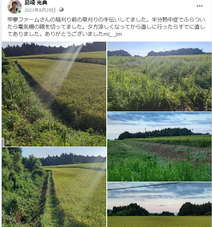 甲夢ファームさんの稲刈り前の草刈りの手伝いしてました-2023-08-29