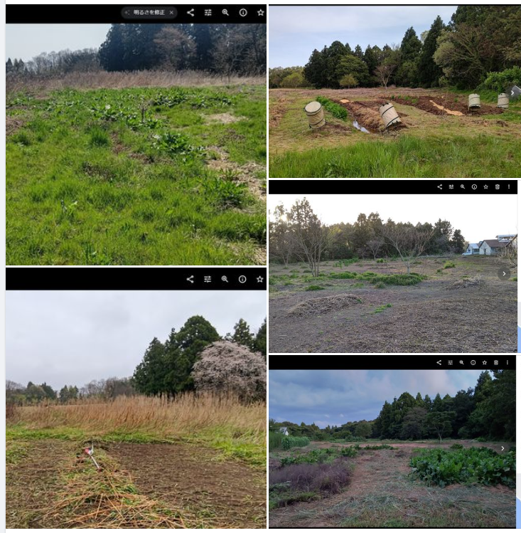 新聞に出たらやる気が出たから不思議です-2023-09-09