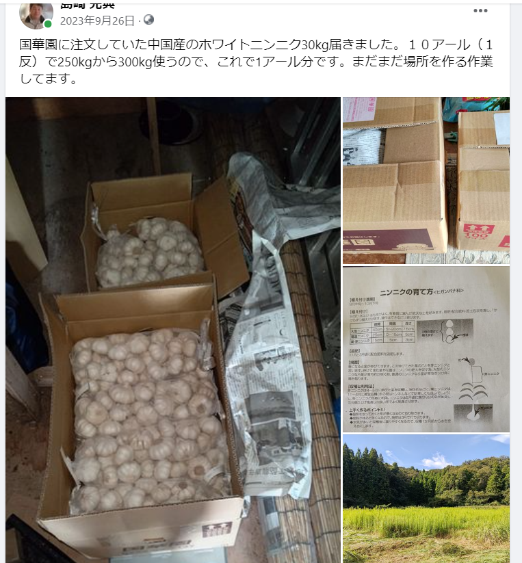 国華園に注文していた中国産のホワイトニンニク30kg届きました-2023-09-26