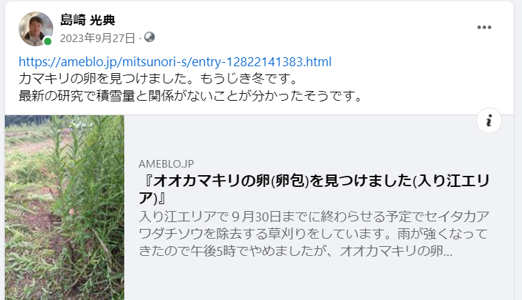 カマキリの卵を見つけました。もうじき冬です-2023-09-27