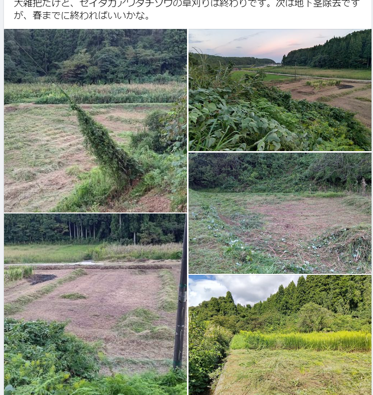 大雑把だけど、セイタカアワダチソウの草刈りは終わりです-2023-09-29