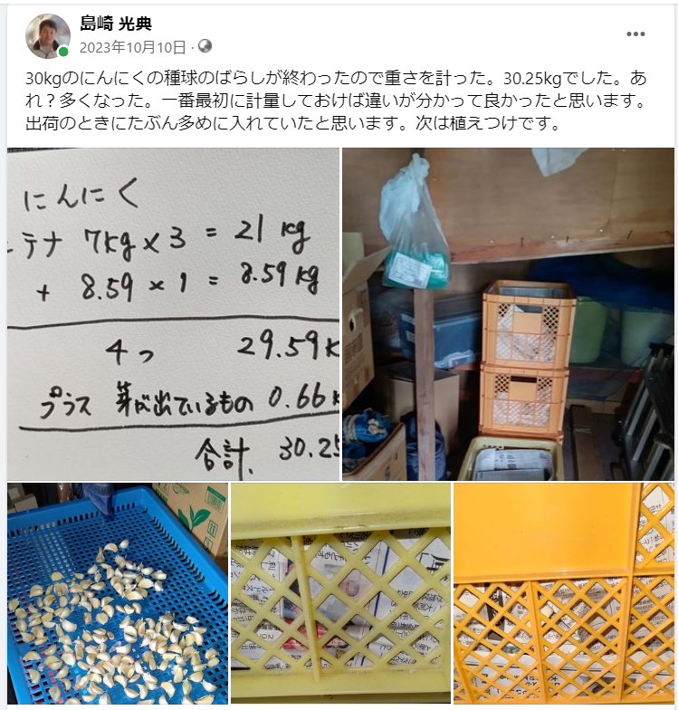 30kgのにんにくの種球のばらしが終わったので重さを計った。30.25kgでした-2023-10-10
