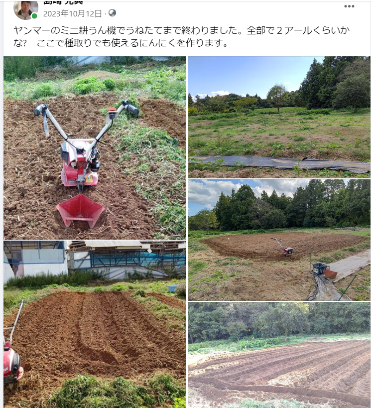 ヤンマーのミニ耕うん機でうねたてまで終わりました-2023-10-12