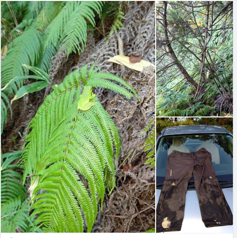 作業着でモンベルのサンダーパスという雨具を使ってます-2023-11-03