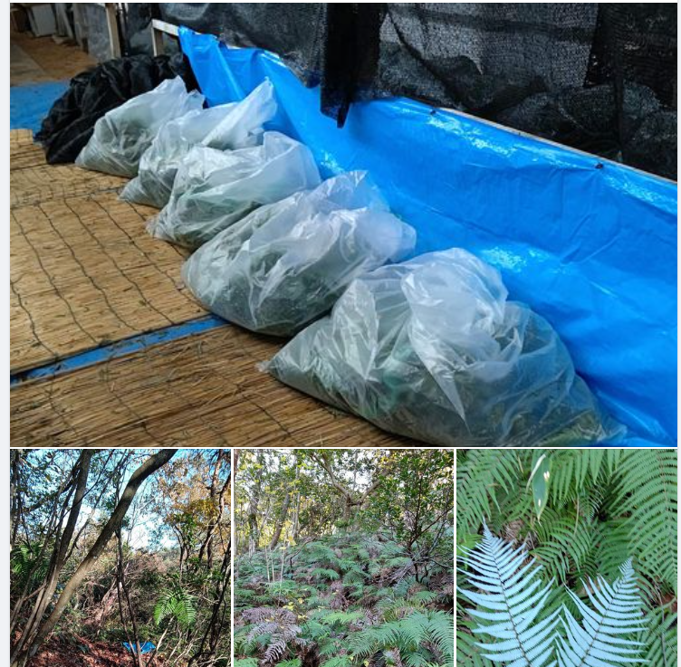 どうにか無事故で6年目が終わりました-2023-11-21