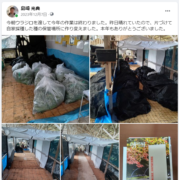今朝ウラジロを渡して今年の作業は終わりました-2023-12-07
