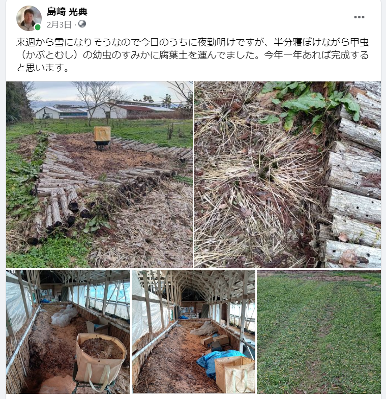 甲虫(かぶとむし)の幼虫のすみかに腐葉土を運んでました-2024-02-03