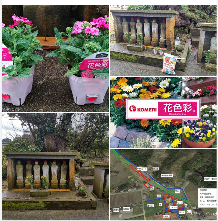 お彼岸なので、毎年やってますが、花を植えました-2024-03-23