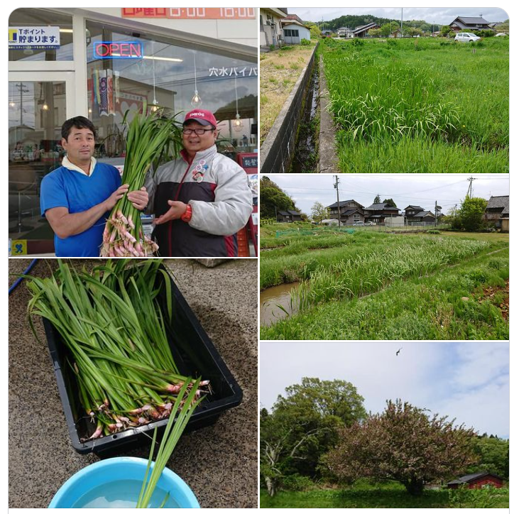 あれから6年ですが、すっかり様子が変わりました-2024-04-10