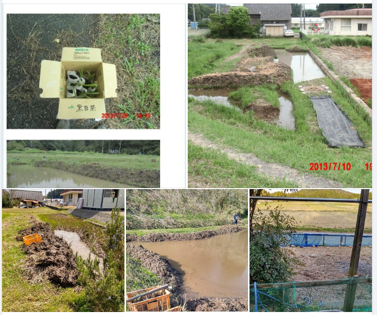 ここまで増えるとは思いませんでした-2024-04-13