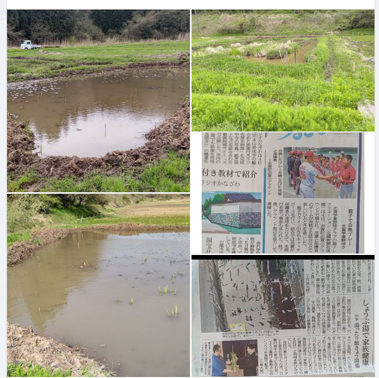 無事に根づいたようです-2024-04-22