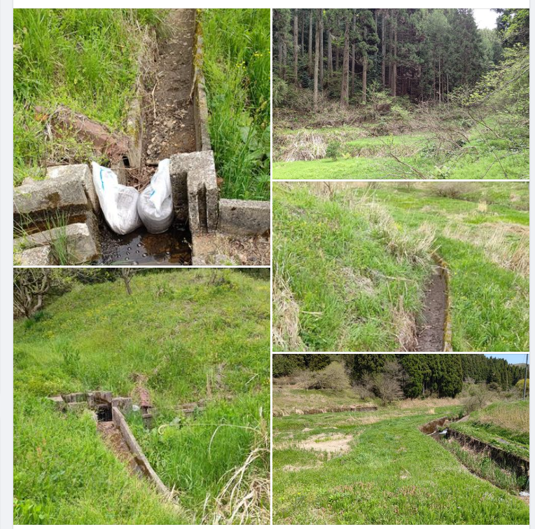 誰がやったか知らないけどふさがれてた-2024-04-28